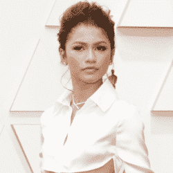 Zendaya at the 2022 oscars wearing a silver sequin skirt and a white buttom up crop top